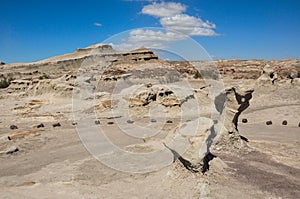 Ischigualasto rock formations in Valle de la Luna, Argentina