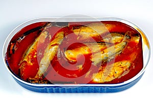 Ish sprats in tomato sauce in an open oval can on a white background