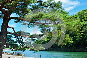 Ishigaki Japan Okinawa Island River Forrest