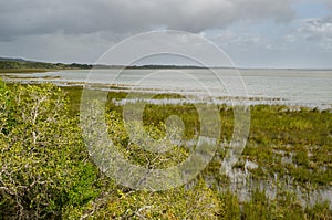 Isimangaliso wetland park. Garden route, South Africa. photo