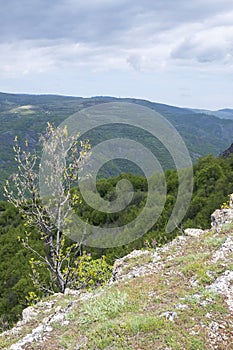 Più vicino comune da Balcanico montagne 