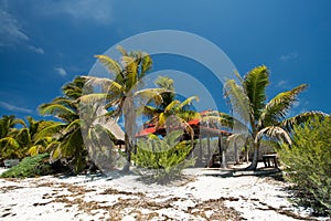 Isla Contoy in Mexico photo