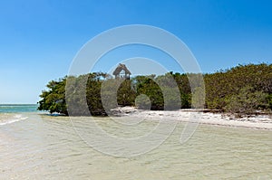 Isla de la Pasion, Quintana Roo, Mexico