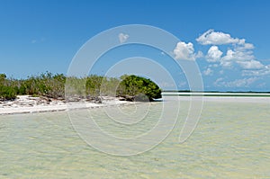 Isla de la Pasion, Quintana Roo, Mexico photo