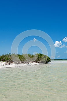 Isla de la Pasion, Quintana Roo, Mexico photo