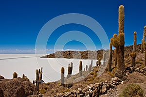 Isla de Pescado (Fish Island) photo