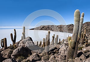 Isla de Pescadores, Bolivia photo