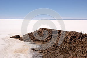 Isla del Pescado, Salar de Uyuni, Bolivia photo