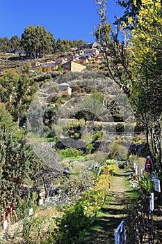 Isla del Sol Island of the Sun Bolivia