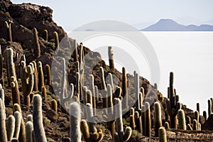 Isla Incahuasi, Bolivia