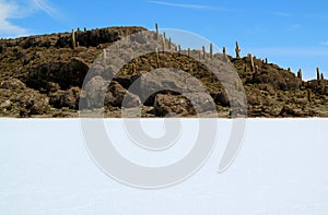 Isla Incahuasi or Isla del Pescado, an Rocky Outcrop in the Middle of Uyuni Salt Flats in Caquena Canton of Bolivia, South America