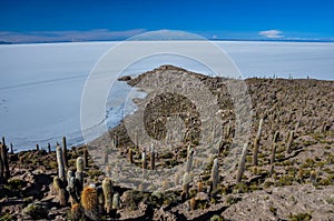 Isla Incahuasi (Pescadores), Salar de Uyuni, Bolivia photo