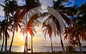 Isla Mujeres island Caribbean beach sunset photo