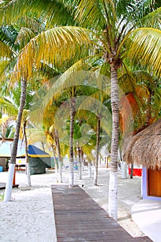 Isla Mujeres tropical North Beach