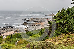 Isla Negra Beach Chile photo