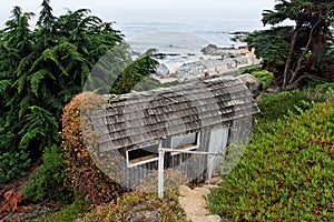 Isla Negra Beach and House photo