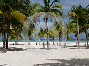 Isla Pasion - Cozumel - Mexico