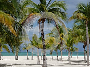 Isla Pasion - Cozumel - Mexico