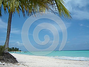 Isla Saona landscape photo