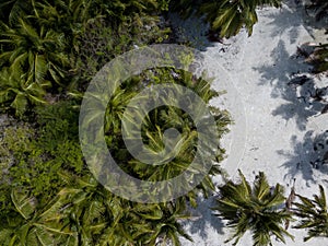 Isla Saone Beach in Punta Cana, Dominican Republic photo