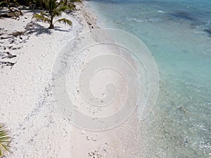 Isla Saone Beach in Punta Cana, Dominican Republic photo