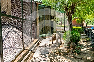 Islamabad Zoo 165