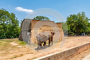 Islamabad Zoo 166