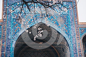 Islamic blue mosque pattern of Persian empire in spring bloom