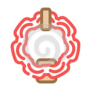 islamic door knocker color icon vector illustration