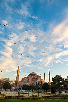 Islamic vertical photo. Hagia Sophia or Ayasofya Mosque in the morning.