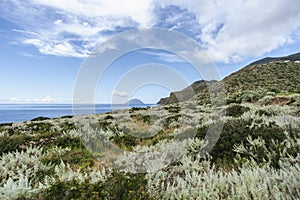 The island of Alicudi from the area of Le Punte