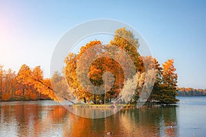Island with autumn sloping trees in a large lake