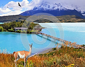 Island and beach connect easily bridge