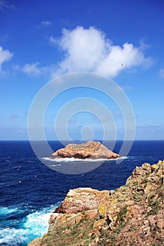 Island of berlengas