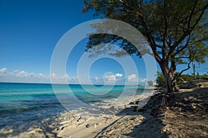 The island of Bimini beaches wider shot