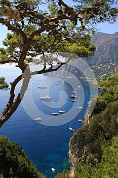 Island of Capri photo