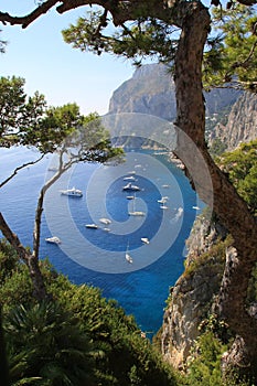Island of Capri