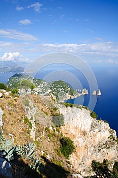 Island of Capri Coastline - Italy