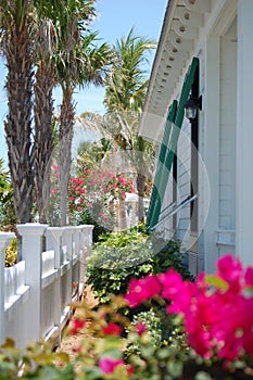 Island Cottage