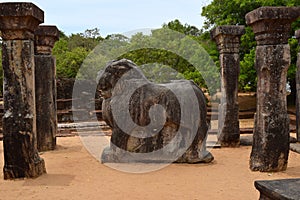 Island Garden ruins, Polonnaruwa
