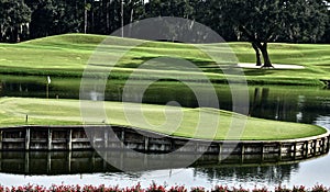 The 17th Island Green at TPC Sawgrass in Florida is an Awesome Sight. photo