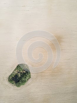 Isla de césped verde arado campo 