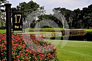 The Island Green at TPC Sawgrass in Jacksonville, Florida photo