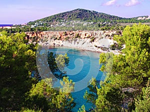 The island of ibiza with sea view. cala d`hort and Es Vedra