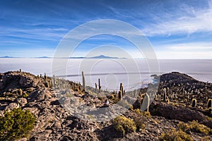 Island of Incahuasi at the Uyuni Salt Flats, Bolivia