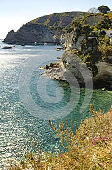 The Island of Ischia from the sea