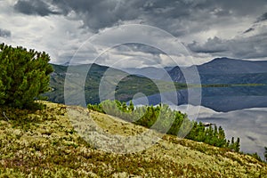 Island on Jack Londons lake. Reflexion