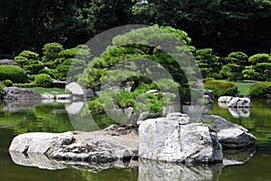 Island in japanese garden