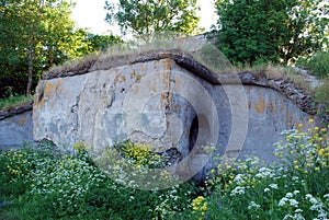 The Island Of Kotlin.Coastal Fort a Trench. Summer walk around the Fort at sunset.