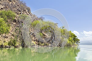 Island in Lake Baringo in Kenya.